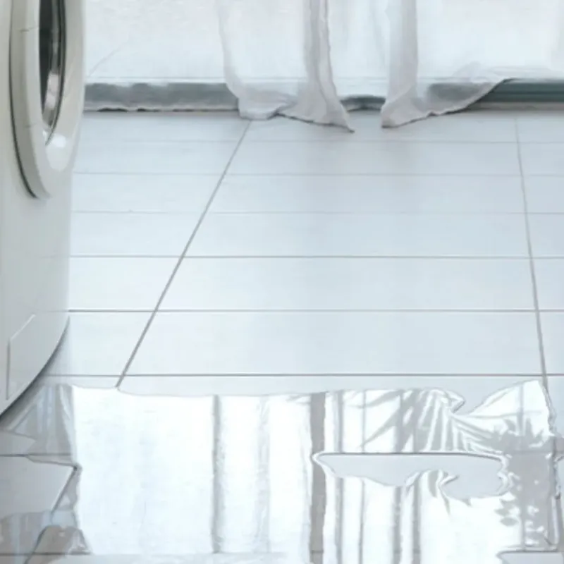 Appliance Leak Cleanup in Carmi, IL