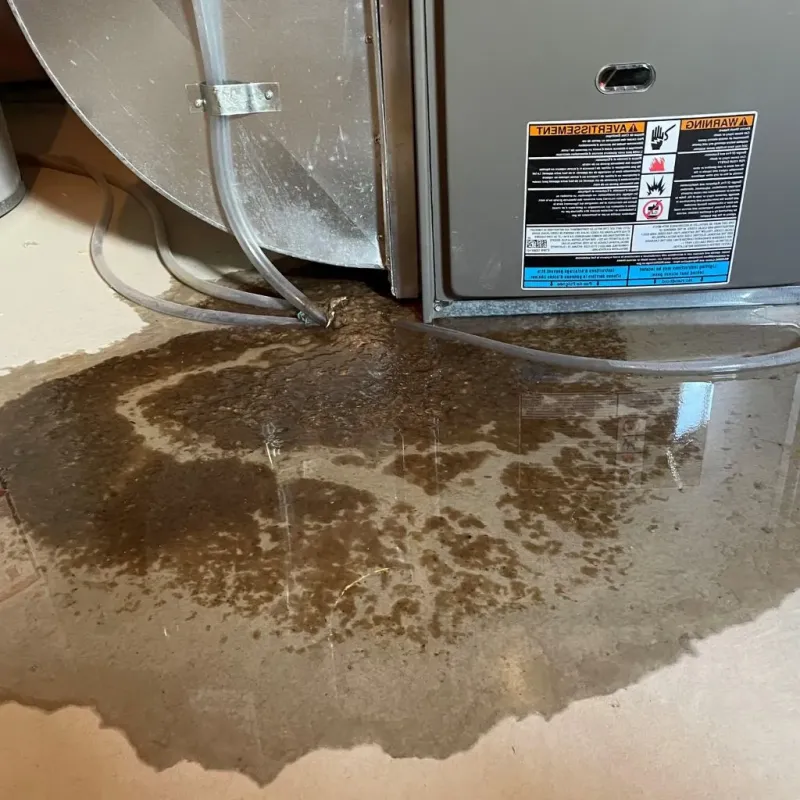 Pipe Burst and Leak Restoration in Carmi, IL