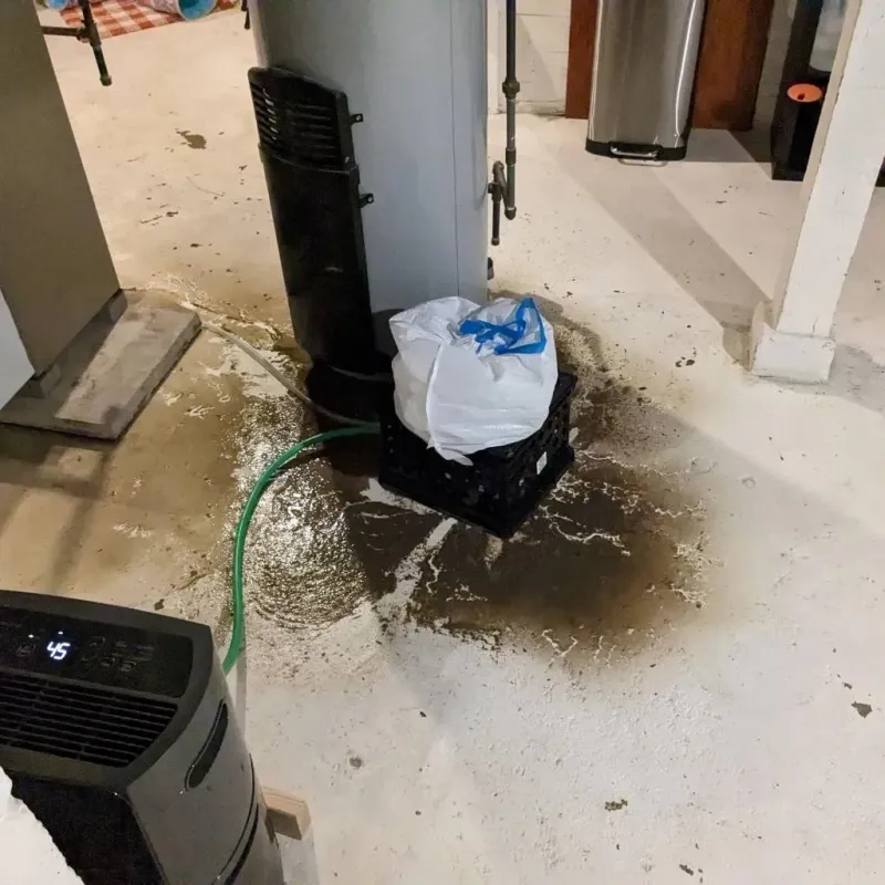 Sewage Backup Cleanup Service in Carmi, IL